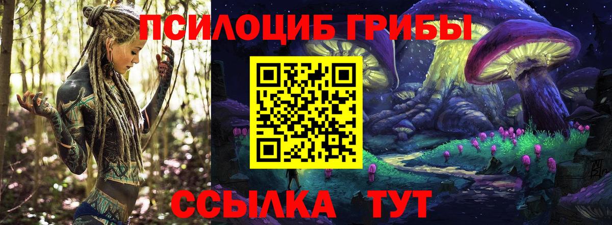 Братск  Галлюциногенные грибы мицелий  Вход с VPN  Псилоцибиновые грибы прущие грибы 